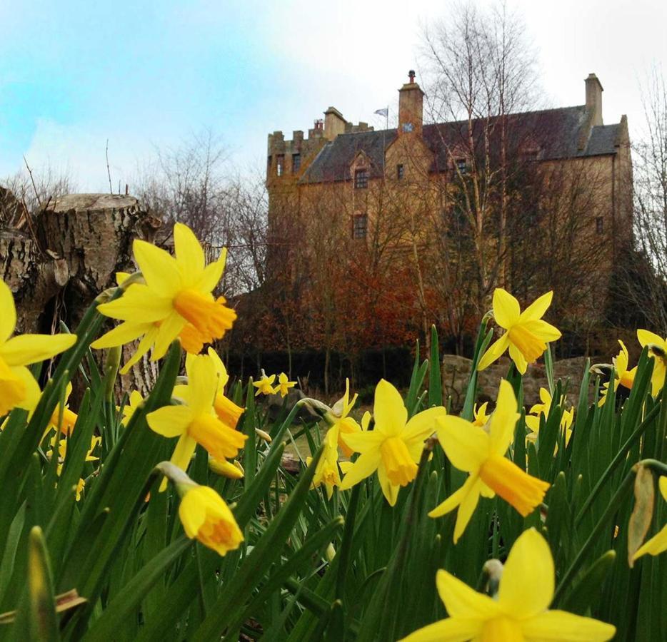 The Manor At Plane Castle Villa Falkirk Ngoại thất bức ảnh